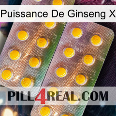 Ginseng Power X new10